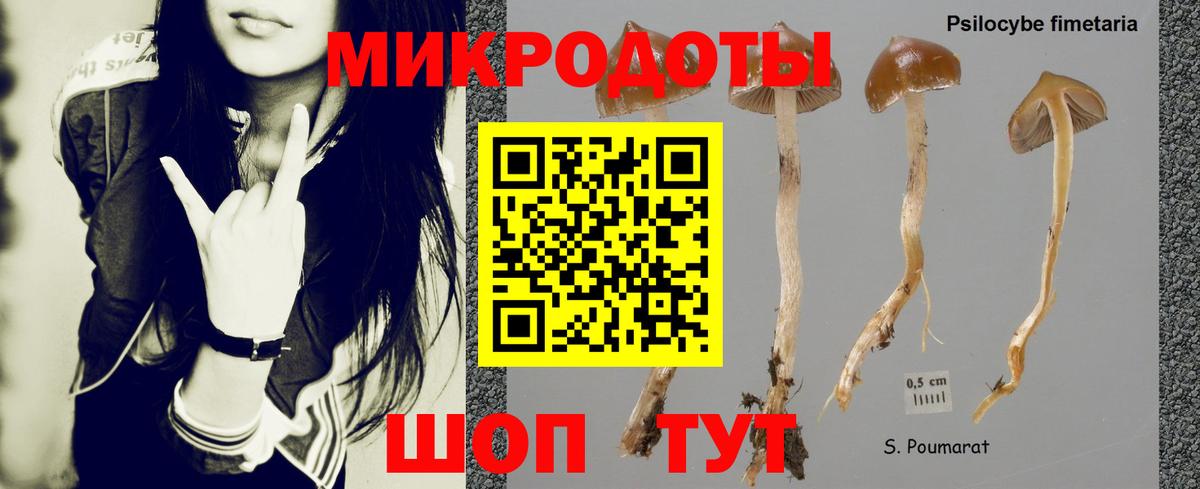 Псилоцибиновые грибы прущие грибы Рубцовск